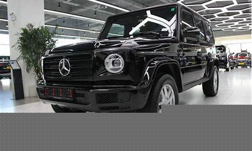 奔驰大g是什么型号的车_奔驰大g是什么型号的车型