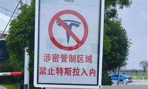 党政机关不允许开特斯拉_党政机关不允许特斯拉进入