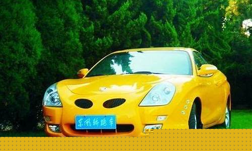 东风跑车_东风跑车价格